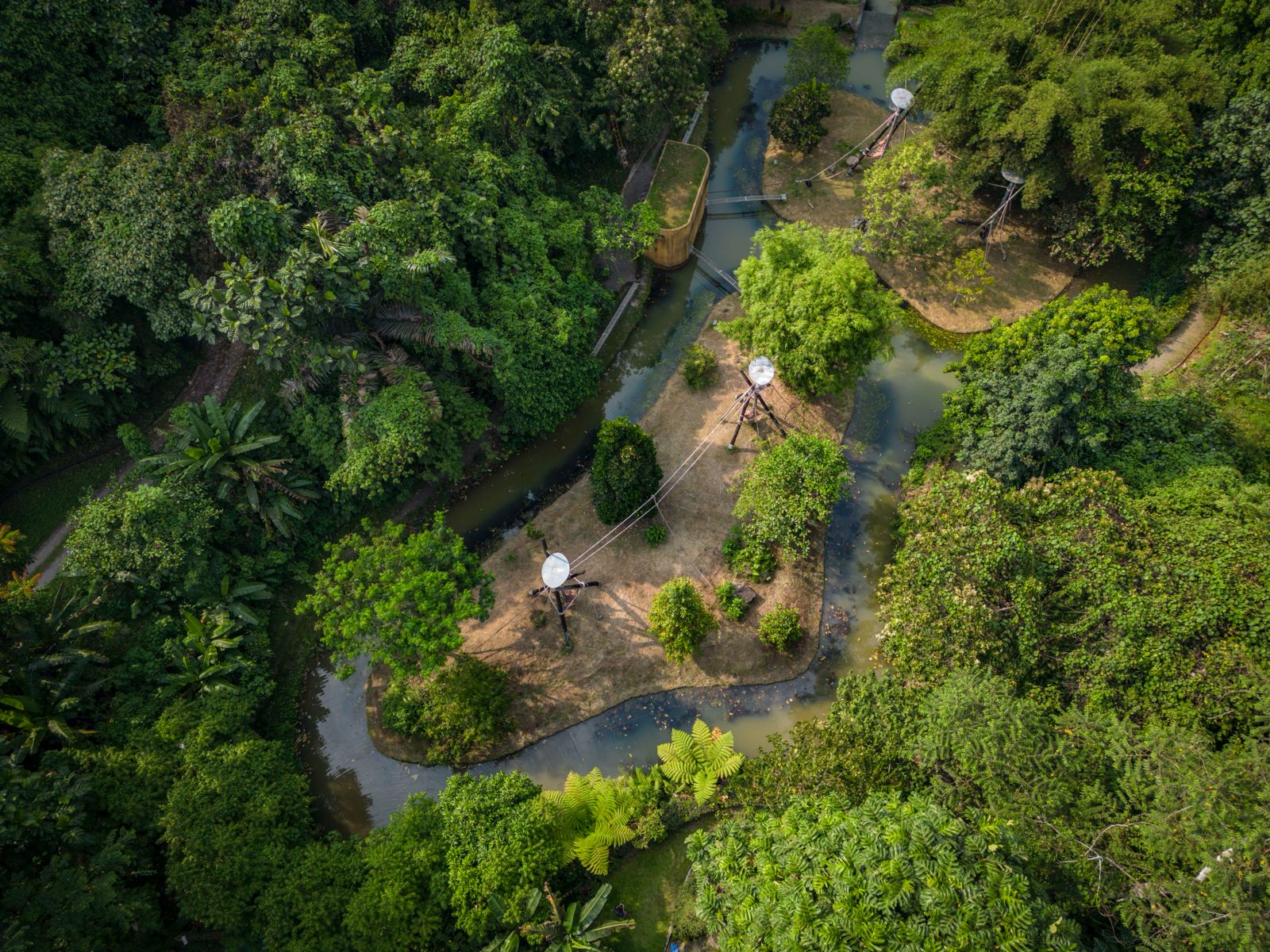 Orangutan Haven  — slide 3